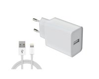 Netzladegerät und USB-A-Kabel 12W DLH DY-AU5091W