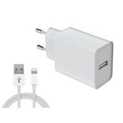 Chargeur secteur et câble USB-A 12W DLH DY-AU5091W