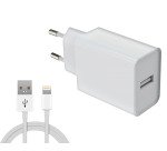 Chargeur secteur et câble USB-A 12W DLH DY-AU5091W