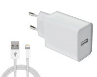 Chargeur secteur et câble USB-A 12W DLH DY-AU5091W
