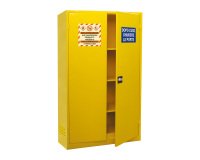 En_armadio di sicurezza liquidi infiammabili 100