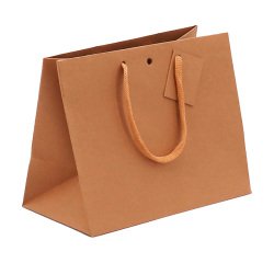 Bag boutique in strong brown kraft Middle handles cords 24 x 14 x 19.5 cm - 10 bags