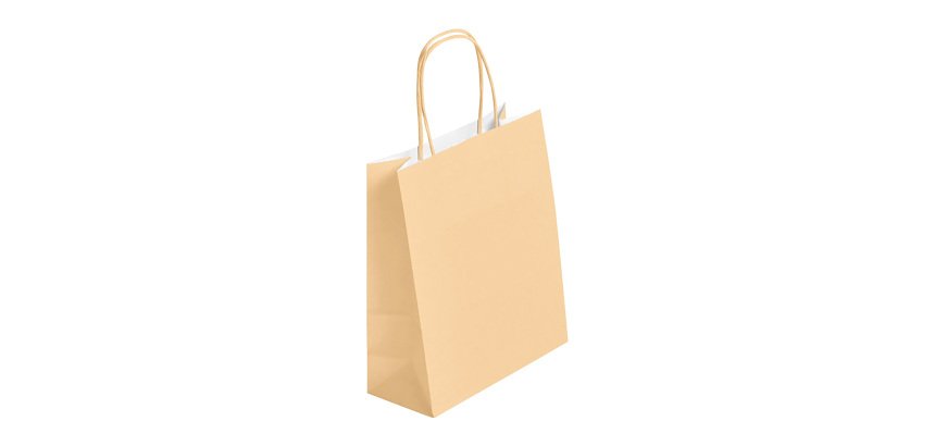 Gift bags kraft with twisted handles 30 x 23 x 12 cm - Pack of 50