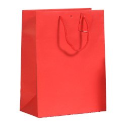 Sac boutique Luxe Natural poignées cordelières H 33 x L 25 x P 13 cm - Paquet de 10 sacs