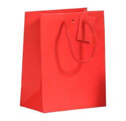 Sac boutique Luxe Natural poignées papier 18 x10 x 22.7 cm - 10 sacs