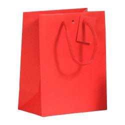 Sac boutique Luxe Natural poignées papier 18 x10 x 22.7 cm - 10 sacs