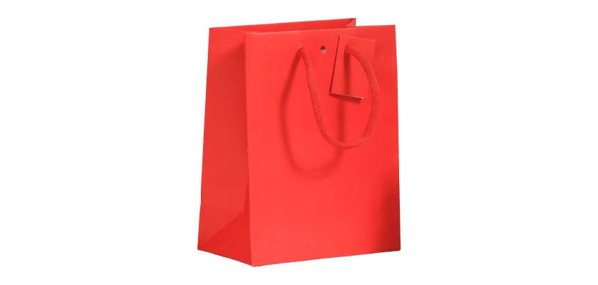 Sac boutique Luxe Natural poignées papier 18 x10 x 22.7 cm - 10 sacs