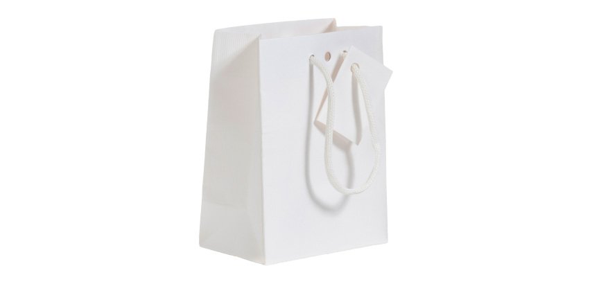 Sac boutique Luxe Natural poignées papier 18 x10 x 22.7 cm - 10 sacs