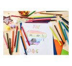 Crayon de couleur Stabilo Color couleurs assorties - Pochette de 12