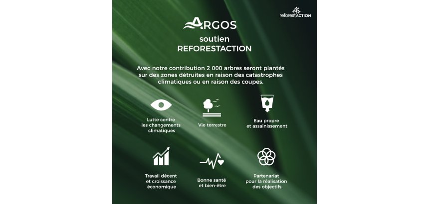 Rolls of Argos blue double-ply hand towels 195 m - Pack of 6