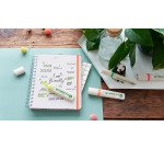 Surligneur Ecoline Edding E 24 - Pochette de 4