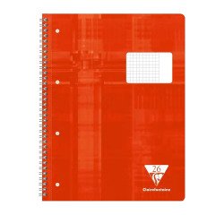 Spiraalschrift A4 geruit met kantlijn