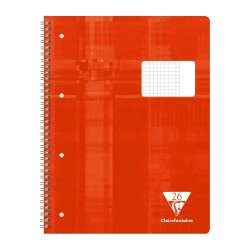 Spiraalschrift A4 geruit met kantlijn