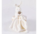 Plante naturelle Orchidée Phalaenopsis blanc