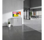 Armoire basse à rideaux monoblocs Généric 100 x 120 corps aluminium
