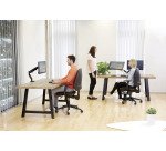 Bras support écrans double Eppa Fellowes couleur