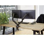 Bras support écrans double Eppa Fellowes couleur