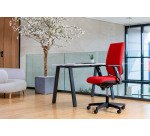 Chaise de bureau avec accoudoirs réglable 1D synchrone Tertio