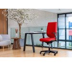 Chaise de bureau avec accoudoirs réglable 1D synchrone Tertio