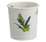 Gobelet carton operculé prédosé Thé à la Menthe 18 cl