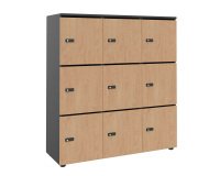 Casier flexycaz 9 cases carbone 3 x 3 cases l 120 x p 42 x h 131,4 +pass - 9 portes individuelles