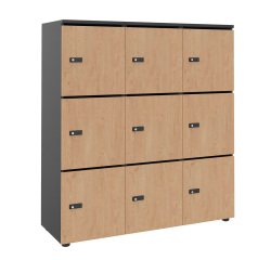 Casier flexycaz 9 cases carbone 3 x 3 cases l 120 x p 42 x h 131,4 +pass - 9 portes individuelles