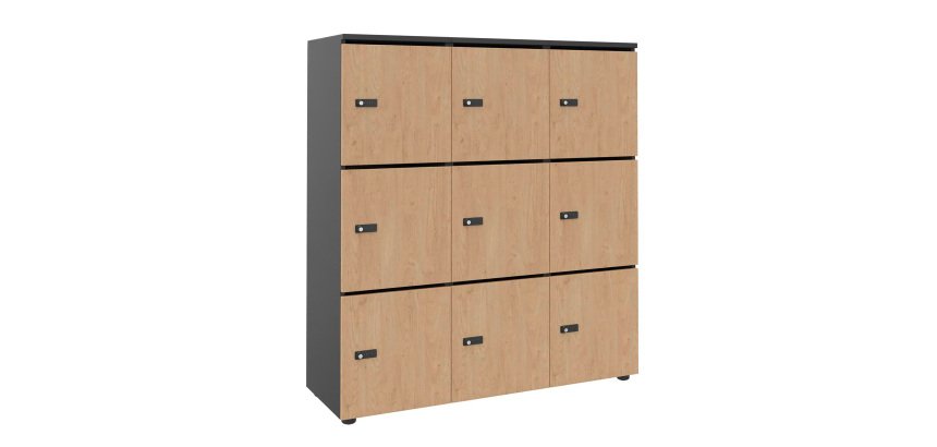 Casier flexycaz 9 cases carbone 3 x 3 cases l 120 x p 42 x h 131,4 +pass - 9 portes individuelles