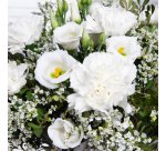 Bouquet de fleurs naturelles, blanc