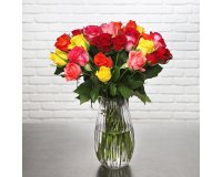 Bouquet de roses Arlequin