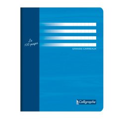 Cahier d'essai piqué Calligraphe 7000 17 x 22 cm grands carreaux 96 pages - Assortis