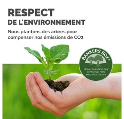 Storage box plastic adjustable Fellowes 15 L