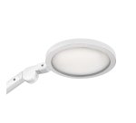 Lampe de bureau Led intégre Giant Silva - Cep - 11,13 W - Bras articulé, blanc/bois