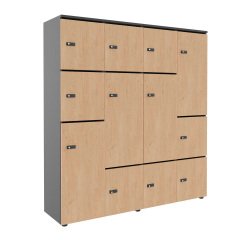 Casier flexycaz 16 cases carbone 4 x 4 cases l 160 x p 42 x h 173,5 + pass - 8 portes individuelles + 4 doubles