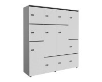 Casier flexycaz 16 cases carbone 4 x 4 cases l 160 x p 42 x h 173,5 + pass - 8 portes individuelles + 4 doubles