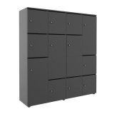 Casier flexycaz 16 cases carbone 4 x 4 cases l 160 x p 42 x h 173,5 + pass - 8 portes individuelles + 4 doubles