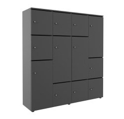 Casier flexycaz 16 cases carbone 4 x 4 cases l 160 x p 42 x h 173,5 + pass - 8 portes individuelles + 4 doubles