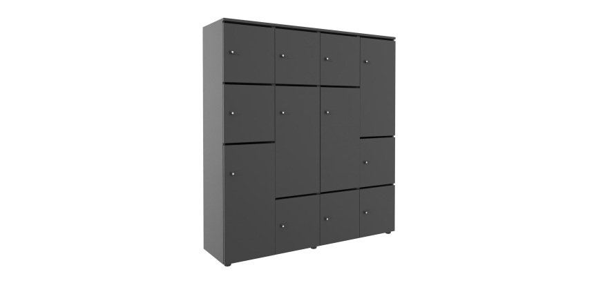 Casier flexycaz 16 cases carbone 4 x 4 cases l 160 x p 42 x h 173,5 + pass - 8 portes individuelles + 4 doubles