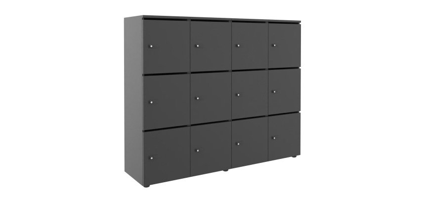 Casier flexycaz 12 cases carbone  4 x 3 cases L 160 x P 42 x H 131,4 +pass -12 portes individuelles