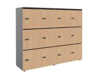 Casier flexycaz 12 cases carbone  4 x 3 cases L 160 x P 42 x H 131,4 +pass -12 portes individuelles