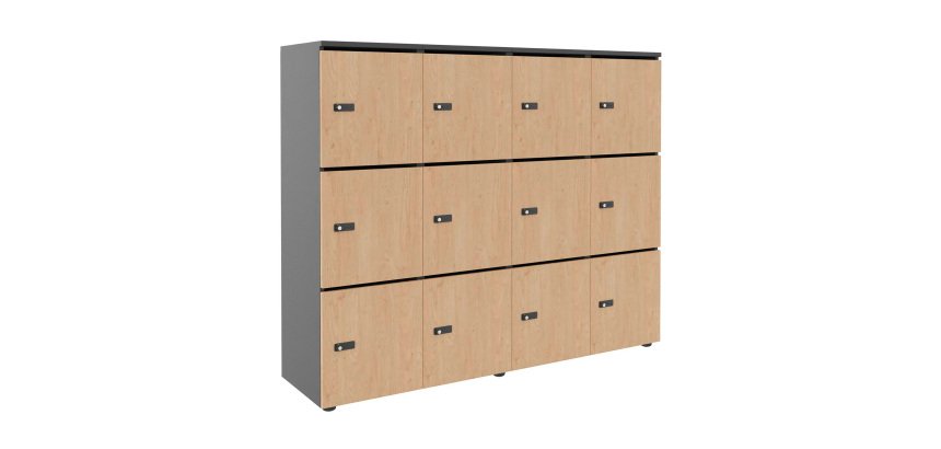 Casier flexycaz 12 cases carbone  4 x 3 cases L 160 x P 42 x H 131,4 +pass -12 portes individuelles