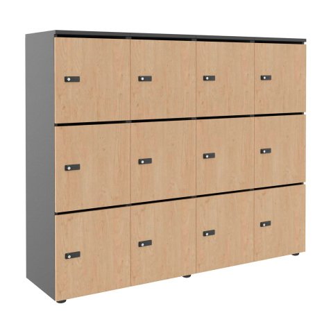Casier flexycaz 12 cases carbone  4 x 3 cases L 160 x P 42 x H 131,4 +pass -12 portes individuelles