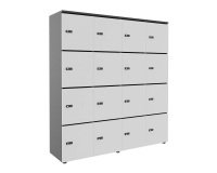 Casier flexycaz 16 cases carbone 4 x 4 cases l 160 x p 42 x h 173,5 +pass -16 portes individuelles