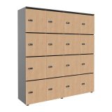 Casier flexycaz 16 cases carbone 4 x 4 cases l 160 x p 42 x h 173,5 +pass -16 portes individuelles