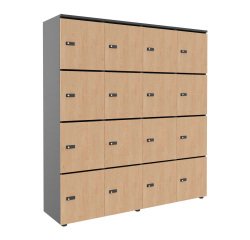 Casier flexycaz 16 cases carbone 4 x 4 cases l 160 x p 42 x h 173,5 +pass -16 portes individuelles