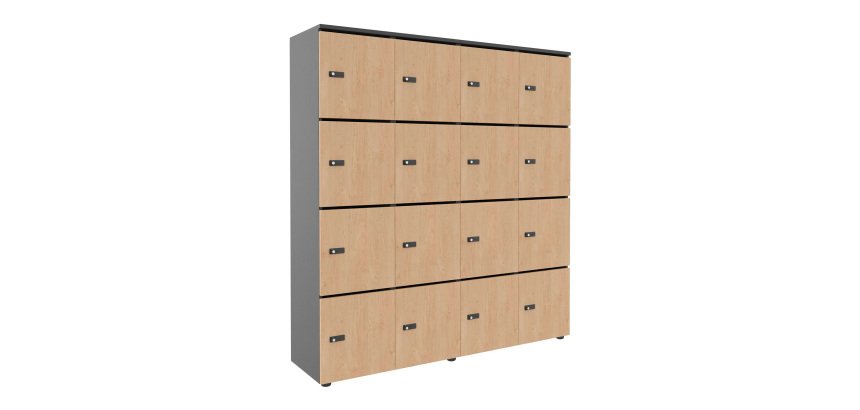 Casier flexycaz 16 cases carbone 4 x 4 cases l 160 x p 42 x h 173,5 +pass -16 portes individuelles