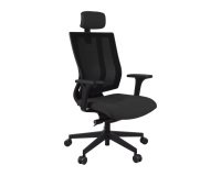 Ergonomischer Bürostuhl MAXPRO SCHWARZ, Stoff und Mesh, mit 2D-Armlehnen und Kopfstütze, Synchronmechanismus, schwarze Füße - Schwarz
