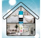 Désodorisant destructeur d'odeurs parfumant Boldair fleurs boisées - Aérosol 500 ml