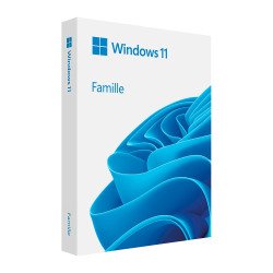 Microsoft Windows 11 Home / Famille licence complète version boîte Format Clé USB