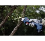 Sécateur sans fil Bosch Professional GGP 12V-25