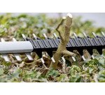 Taille-haies sans fil Bosch Professional GHE 18V-60